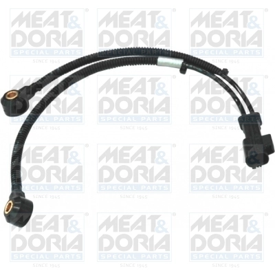 Knock Sensor